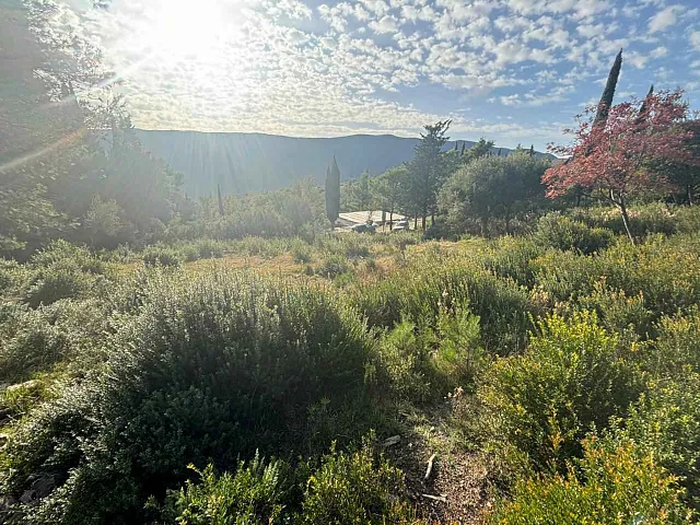 Beautiful plot surrounded by nature in Mojdež, Herceg Novi — photo 13
